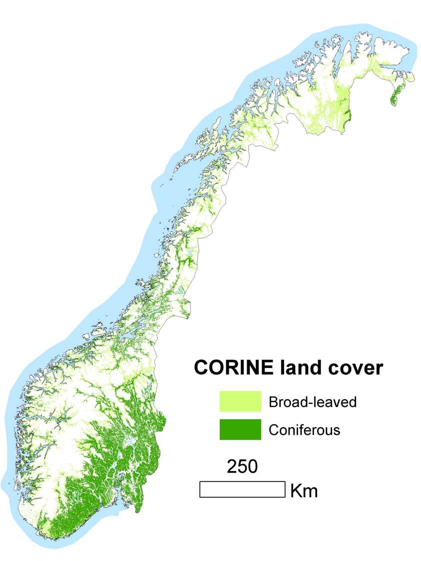 Granbarkbillen og 2 generasjoner: Risiko