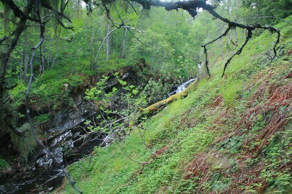 vassdraget. Truleg vil røyrtraseane øvst syne ganske mykje frå bygda. Foto: Øystein Folden 01.06.2013.