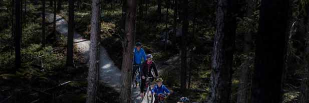 Eksempel: Trysil fra vinter til helårsturisme 15 km