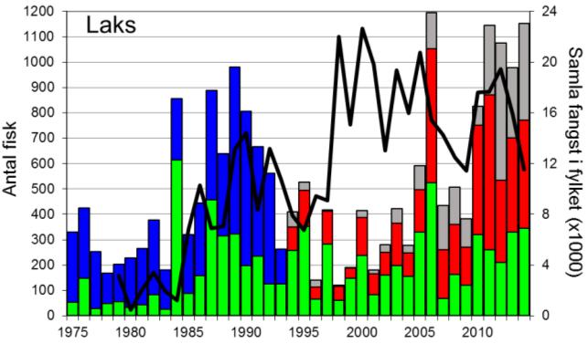 FANGST OG SKJELPRØVAR I SULDALSLÅGEN Gjennomsnittleg årsfangst av laks i perioden 1969-2014 var 506 (snittvekt 5,1 kg).