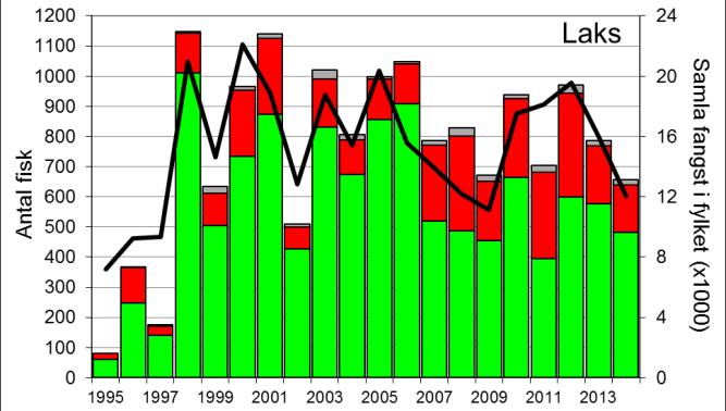 FANGST OG SKJELPRØVAR I SOKNA Gjennomsnittleg årsfangst i perioden 1995-2014 var 762 laks (snittvekt 2,5 kg) og 250 sjøaurar (snittvekt 0,9 kg).