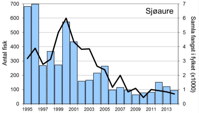 Variasjonen i både laks- og sjøaurefangstane i Sokna har vore svært lik det ein har sett i resten av fylket (figur 1, linje), med unntak av at laksefangsten var noko låg i 2011, og sjøaurefangstane