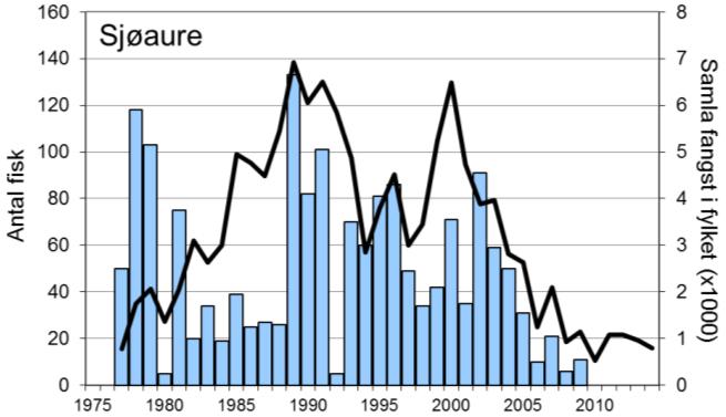 Etter rekordfangsten i 2012, då det vart fanga 768 laks, har fangstane gått ned dei to siste åra, til 337 laks i 2014.