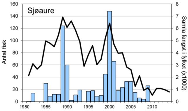 I 2014 vart det fanga 42 laks (snittvekt 2,5 kg), og eit av dei svakare resultata for Jørpelandselva. Fangstane av sjøaure har også variert mykje, med ein rekordfangst i 2000 på 148 fisk.