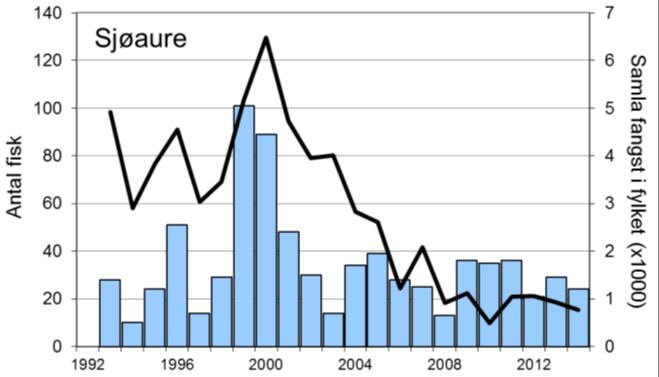 I perioden 1993 er det i snitt fanga 34 sjøaure per år (snittvekt 0,7 kg). Med unntak av 1999 og 2000, då det vart fanga høvesvis 101 og 89 sjøaure, har fangstane stort sett variert mellom ca.