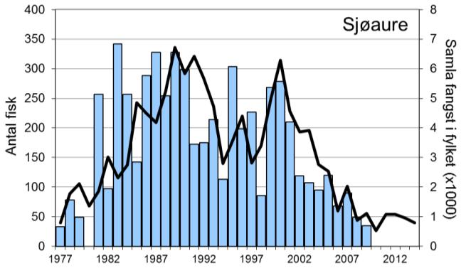 I 2014 vart det fanga 226 laks (snittvekt 4,3 kg), som er eit resultat på det jamne. I perioden 1977-2009 vart fanga i snitt 177 sjøaurar per år (snittvekt 1,0 kg).
