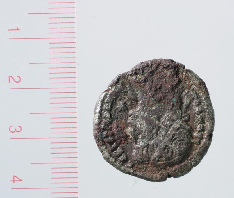 To av myntene (T 24737:981 fra Severus Alexander og T 24737:1396 fra Maximianus) har også en stilisert palmegrein som biten.