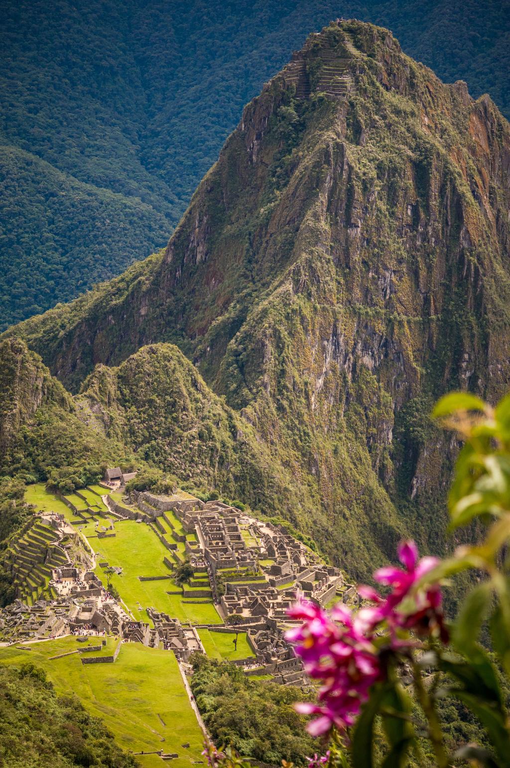 Dag 12. Machu Picchu til Cusco Vi begynner dagen tidlig, og etter bare 25 minutter er vi oppe ved et av jordens aller største underverk, selveste Machu Picchu.