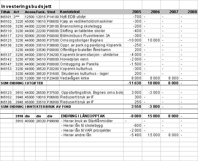 Page 8 of 39 I forbindelse med funksjon 315 gir kommunestyret rådmannen fullmakt til å opprette et eget investeringsfond med virkning fra 2005 for erverv og opparbeidelse av nye boligfelter.