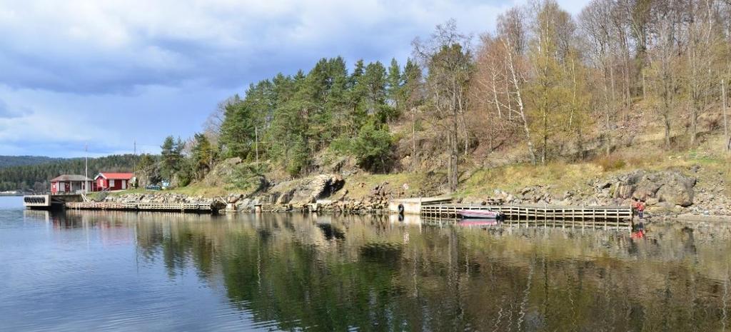 5 Biologisk mangfold på land Landområdet vil i hovedsak ikke bli berørt i like stor grad som sjøområdet. Planlagt oppgradering er tiltenkt allerede eksisterende brygge/kai.