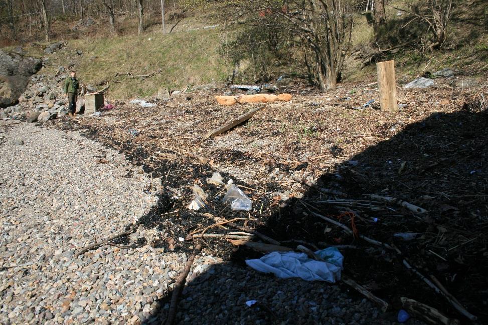 Tåjebukta, rett utenfor naturreservatet, bygges det hvert år opp