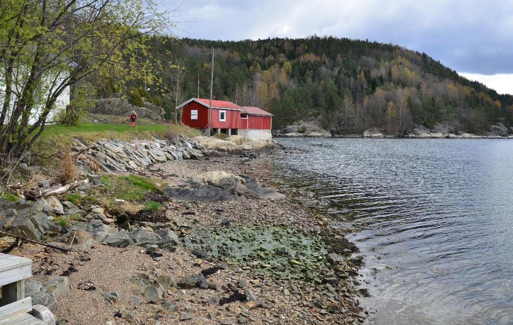 Nordvestsiden av Tåjebukta På nordvestsiden av Tåjebukta er mer bølgeeksponert en innerst i Tåjebukta.