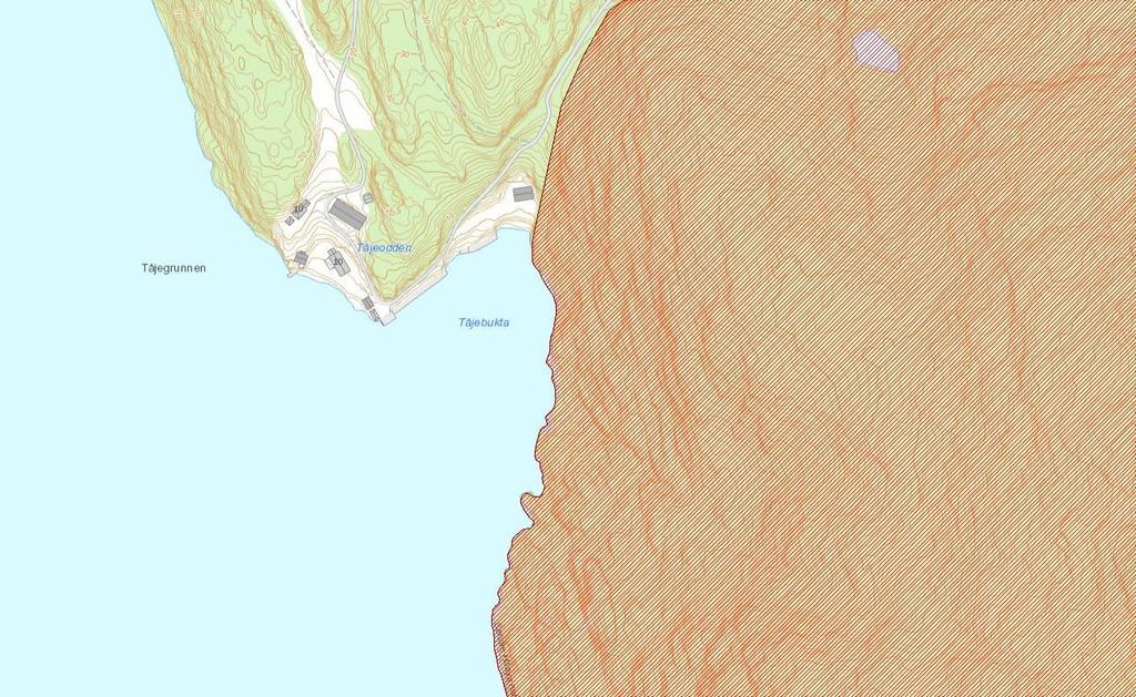 6 Konsekvenser Tåjebukta grenser til naturreservatet (Søndre Håøya), slik at bryggeanlegget kommer til å ligge relativt nærme naturreservatet (Figur 6-1).