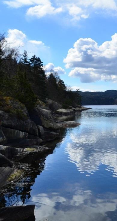 3 Sjøområdet Tåjebukta ligger eksponert til ved vindretning på sør og vestlig vind.