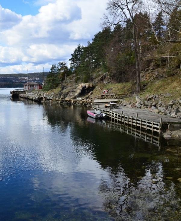 3-4 tonn søppel fra stranden i 2015 (pers.medd Tom Erik Nilsen- Bymiljøetaten). Figur 3-1 Drivgods inne i Tåjebukta.