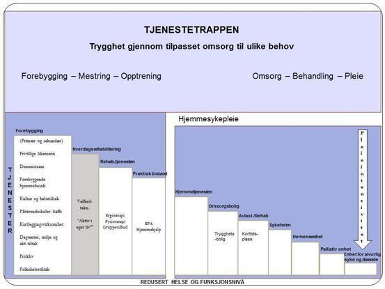 1.6 Føremål og omfang med anskaffinga Oppdragsgivar ønskjer tilbod på følgjande tenester: Strategi IKT tenester Økonomi Beredskapsplan Tenesteutviklar Fyll inn i spesifikasjonen på dei aktuelle