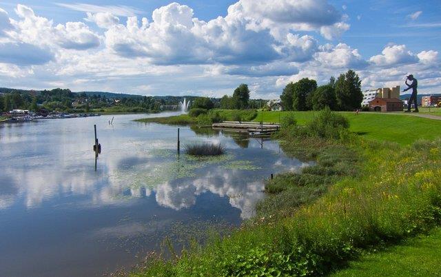 Nitelva sett fra sør. Randvegetasjonen er med på å gi elveløpet et frodig preg.