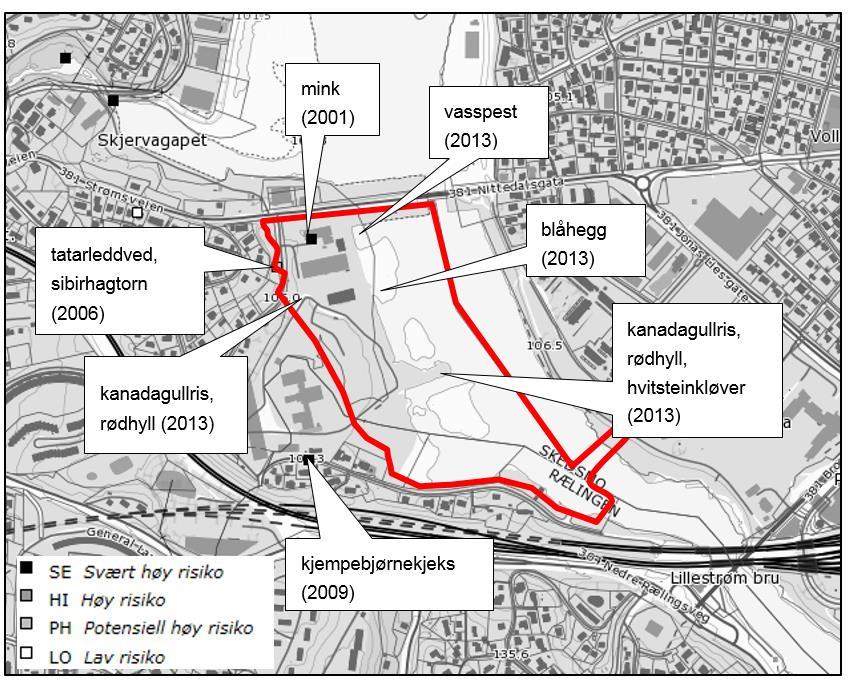 flat dammusling samt den uvanlige andemuslingen i vassdraget. I 2012 ble flat dammusling påvist i elvestrekningen ved Lillestrøm, deriblant innenfor planområdet (Sandaas mfl. 2012).