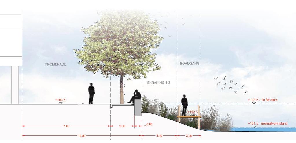 På delen nord for "Renseparken" legges det opp til nedtrapping og terskler mot elva. Beplantning som trær, busker og bunndekkende planter benyttes for å gi frodighet og variasjon til området.