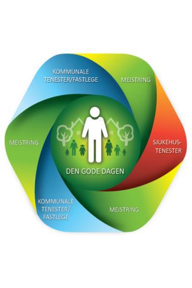 MÅL OG LEVERANSER 1. Systematisere kunnskapsgrunnlag ved hjelp av forløpsfasemodell 2.