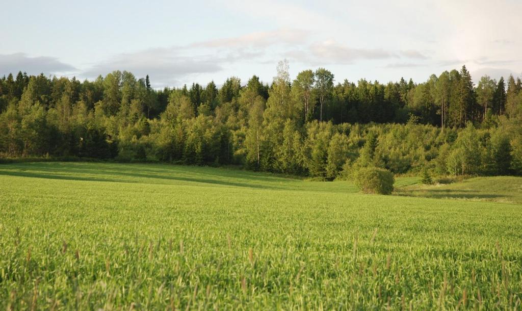 Kommunedelplan E18 Akershus grense Vinterbro. Ås kommune 53 5.