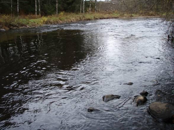 I Gudbrandsdalslågen var bunnsubstratet på stasjonen dominert av små stein og grus.