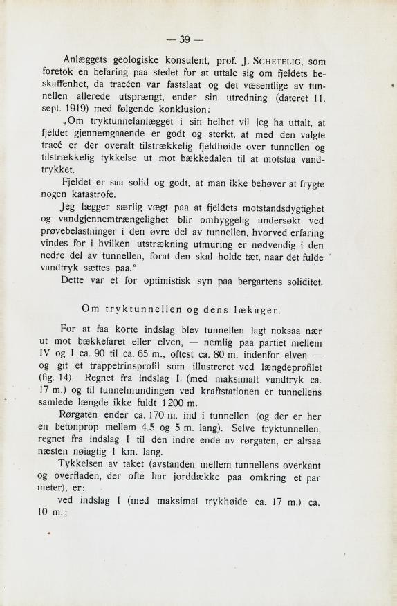 geologiske konsulent, prof. d- 3c l_ii'i.ic.. som foretok en befaring paa stedet for at uttale sig om fjeldets be skaffenhet.