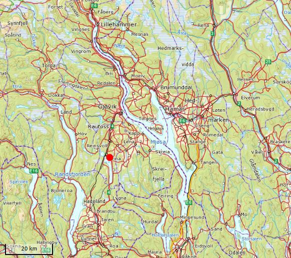 De ekstremrike fastmattene i sørøst og til dels også i sørvest var de mest artsrike partiene, men også de rike mykmattene rundt tjernet har flere interessante rikmyrarter. Lyngstad mfl.