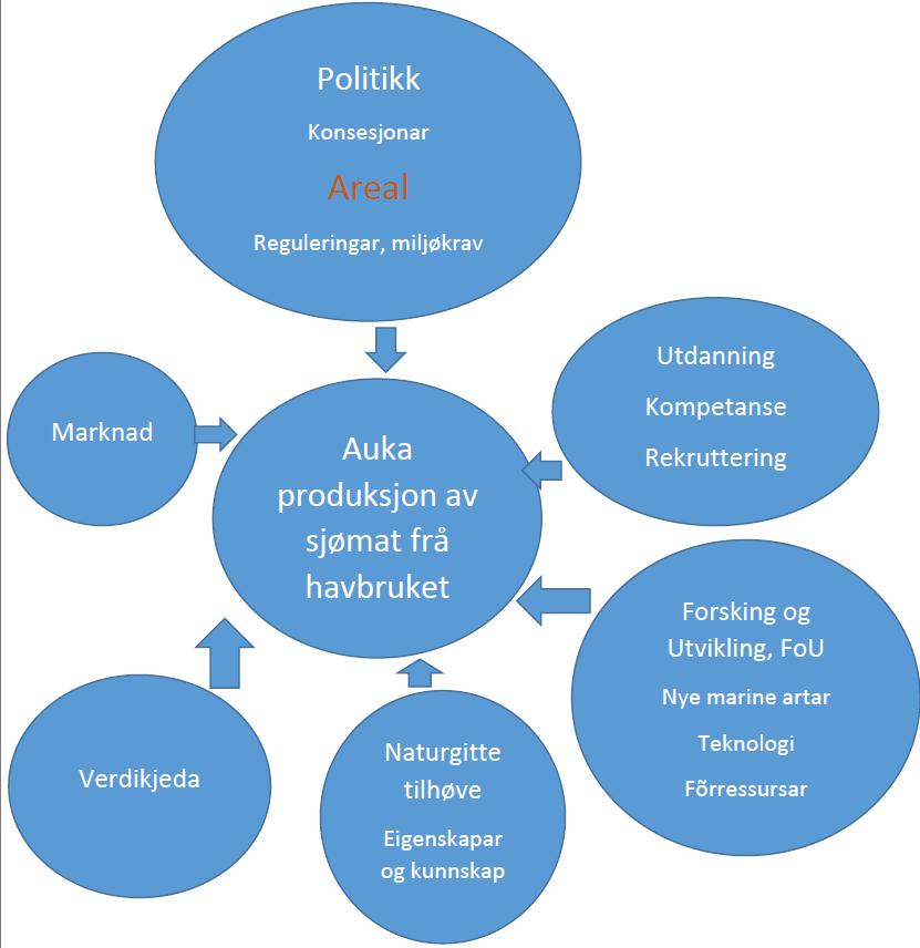 15 Næringsareal i sjøen Figuren viser fleire av faktorane som verkar inn på målet om ei auka produksjon av sjømat.