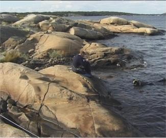 4.1.12 GØ6 Kråka, Hvaler Lokalitetsbeskrivelse Stasjonen ligger på østsiden av en liten øy kalt Kråka, og ligger mellom Asmaløy og Kirkøy, rett sør for Kjerringholmen.