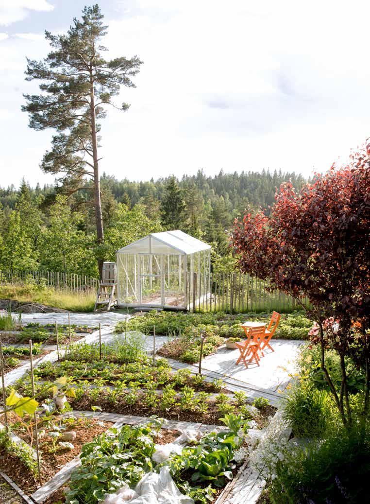 FAKTA Navn: Barbro Raen Thomassen Bor: Birkenes i Aust-Agder Bakgrunn: Barbro arbeider med skulptur, tegning, foto, broderi, installasjon og land art.