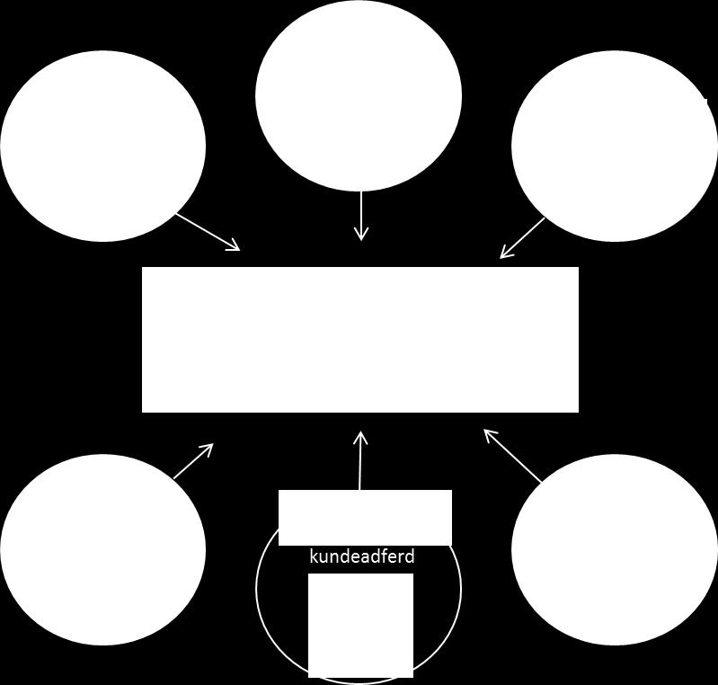 forklaringsfaktoren for at etablerte