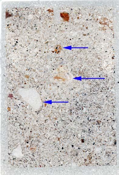 Fig. 2: As Fig 1, under oblique incident light (OIL), showing