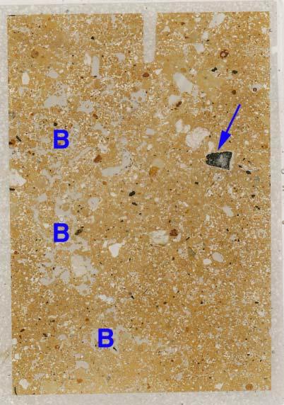 Fig. 6: Bamble; Scan of M12929 (L8[L6] Mound 1), showing compact buried cultural soil, with fine