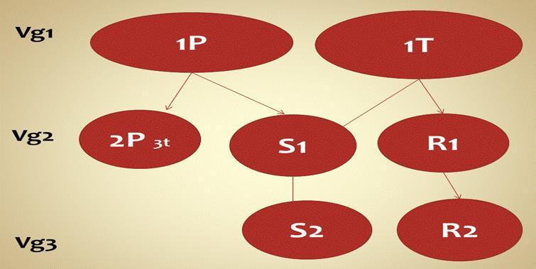 Matematikkvalg