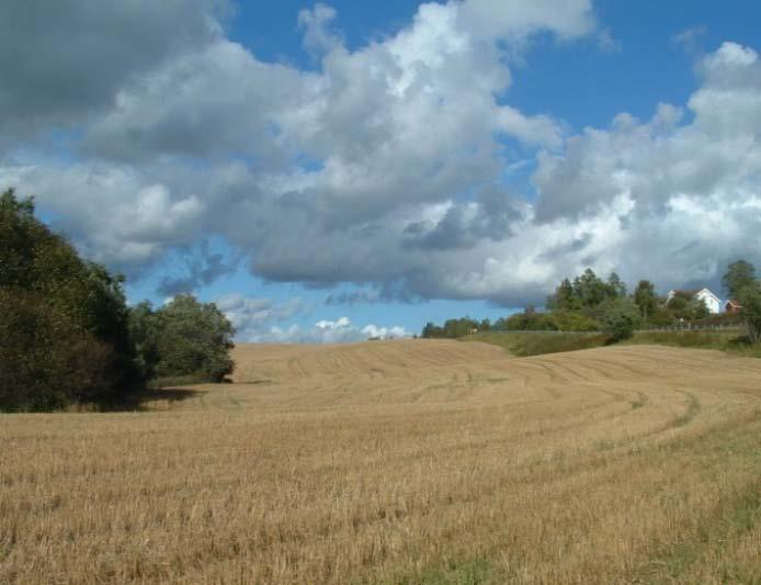 Skuterud, Mørdre og Kolstad er arealbruken dominert av kornproduksjon, mens Volbu, Naurstad, Time og Skas-Heigre er dominert av gras/husdyrproduksjon (Figur 3).