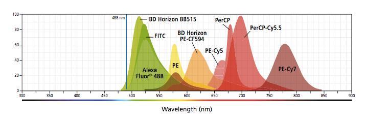 Ved bruk av flere fluorokromer samtidig kan ulike emisjonsspekter overlappe og gi spektral interferens.