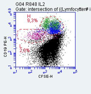 4.4 Bekreftelse av CD19 lav proliferasjon Ved å sammenligne CD19 lav populasjonen med CFSE, er det mulig å bekrefte at CD19 lav har proliferert. Avgrensingene ble overført fra figur 8 (b).