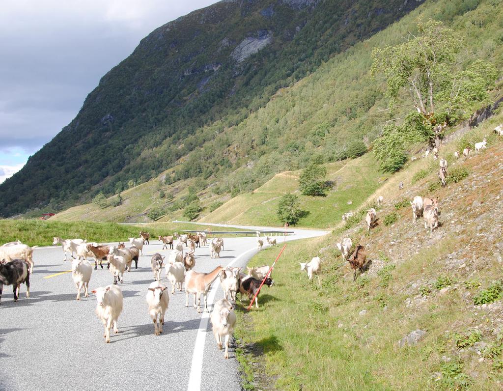 Region vest Ressursavdelinga Planseksjonen Juni 2015 Rv.