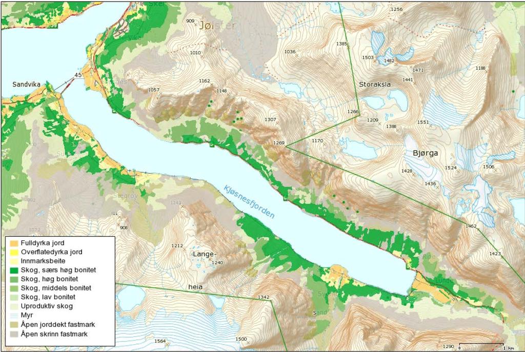 Figur 6.7:Bonitetkart over planområdet/ influensområdet (www.fylkesatlas.no) 6.4 Kjøsnesfjorden Kjøsnesfjorden og Jølstravatnet er knytt saman ved Kjøsnes.