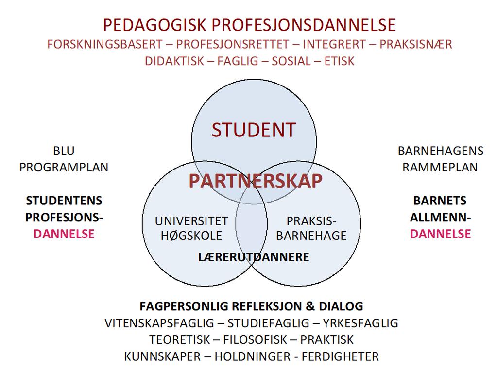 5 1 Innledning Retningslinjer for praksisopplæring i barnehagelærerutdanningen ved Høgskolen i Sørøst-Norge, Campus Drammen (HSN BLU-BU) bygger på Rammeplan for barnehagelærerutdanning fastsatt av