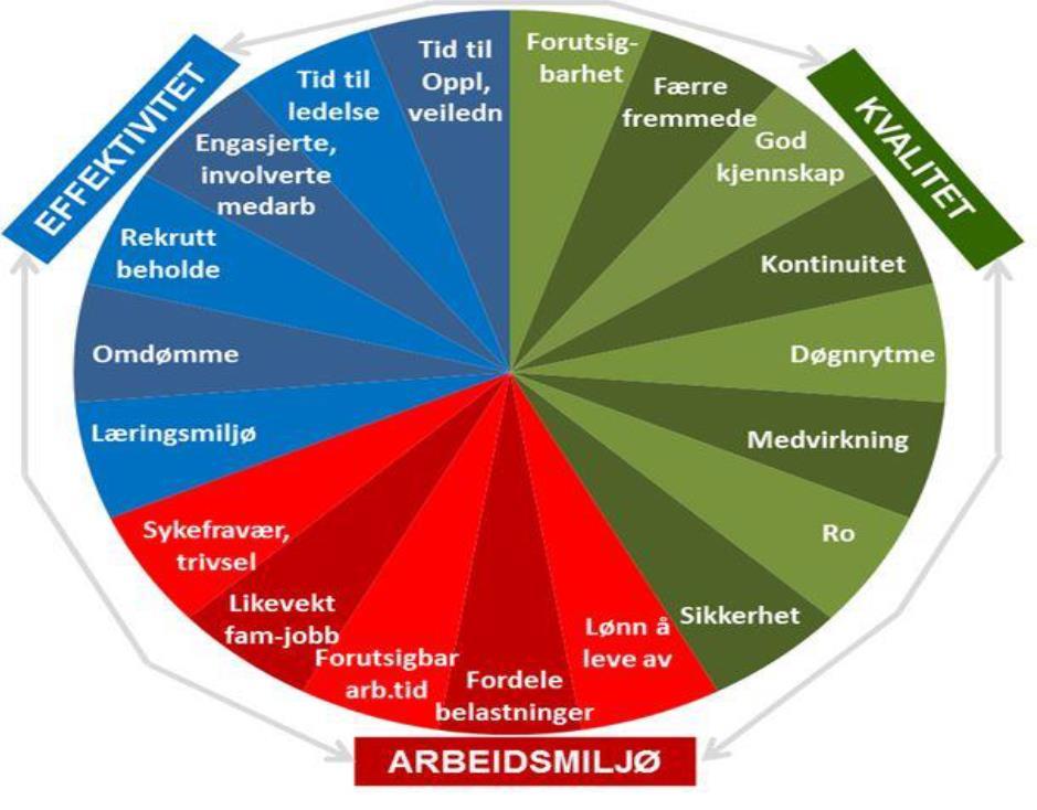 det blant annet at en ikke har fått erfaringer knyttet til å benytte seg av at Årsturnusen skulle ivareta et stipulert vikarbehov på forhånd. Ser bedre ut til neste år.