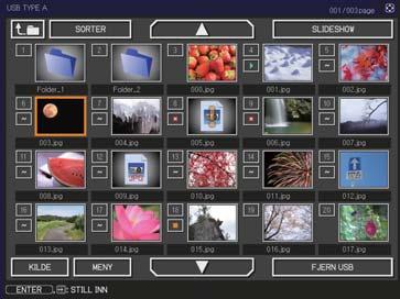 Presentasjonsverktøy Presentasjon UTEN PC (fortsetter) Miniatyrbildemodus Miniatyrbildemodus viser bilder som er lagret på en USB-lagringsenhet i forhåndsvisningsruten.