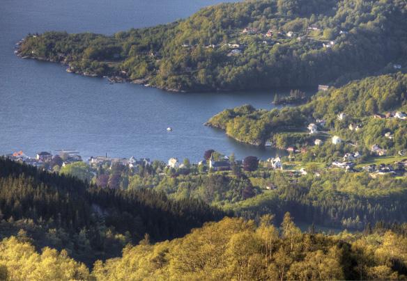 Avskyting Sett hjort pr. jegerdag i høve til felt hjort seier noko om endringar i storleiken av bestandane.