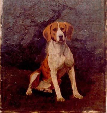 Enger fikk i sin tid Løvenskjolds pokal for sitt hygenhund oppdrett. Det var også på den tid at grunnlaget for hygenhunds eksteriør ble opptrukket.