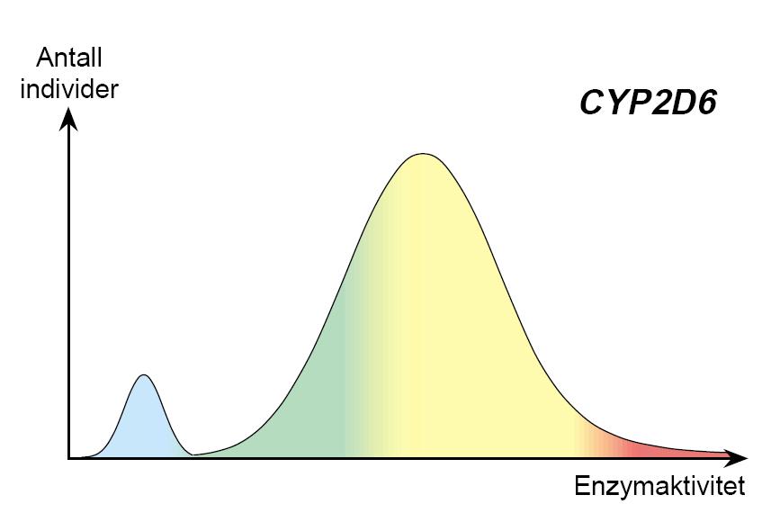 CYP2D6 7 % 35 % 55