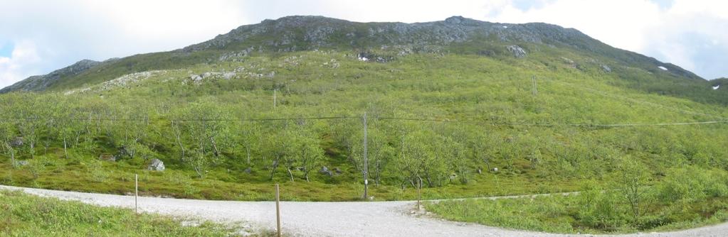 Erfaringsmessig vil snøskred være den skredtypen som når lengst nedover i fjellsida i denne typen terreng, og det er derfor snøskred som vil være dimensjonerende i forhold til utstrekningen av