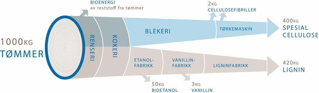 S P E S I A L C E L L U L O S E Bygningsmaterialer Filter Trykkfarge og lakk Pølseskinn Næringsmidler/Farmasi/Kosmetikk Tekstiler L I G N I N Betongtilsetning Dyrefôr Jordbrukskjemikalier Batterier