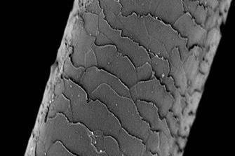 Exilva Microfibrillated cellulose Microfibrillated Cellulose Produced from Norway spruce