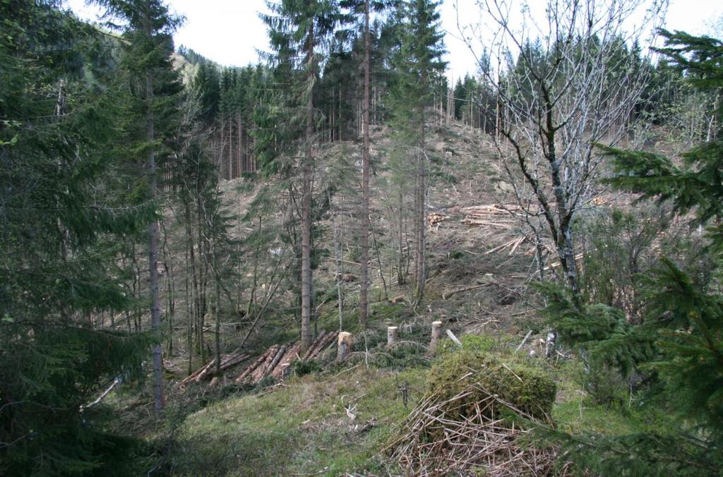 9.8 LANDBRUKSOMRÅDE I Gårdskartregisteret (www.skogoglandskap.no) er eigedomane som vert regulert, gnr. 9 bnr. 1, 2 og gnr.10 bnr.1. Gnr. 9 bnr. 1 registrert som skog med særs høg bonitet, gnr.9 bnr.2 er registert som skog med særs høg bonitet og høg bonitet.